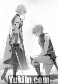 light novel