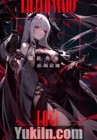 light novel